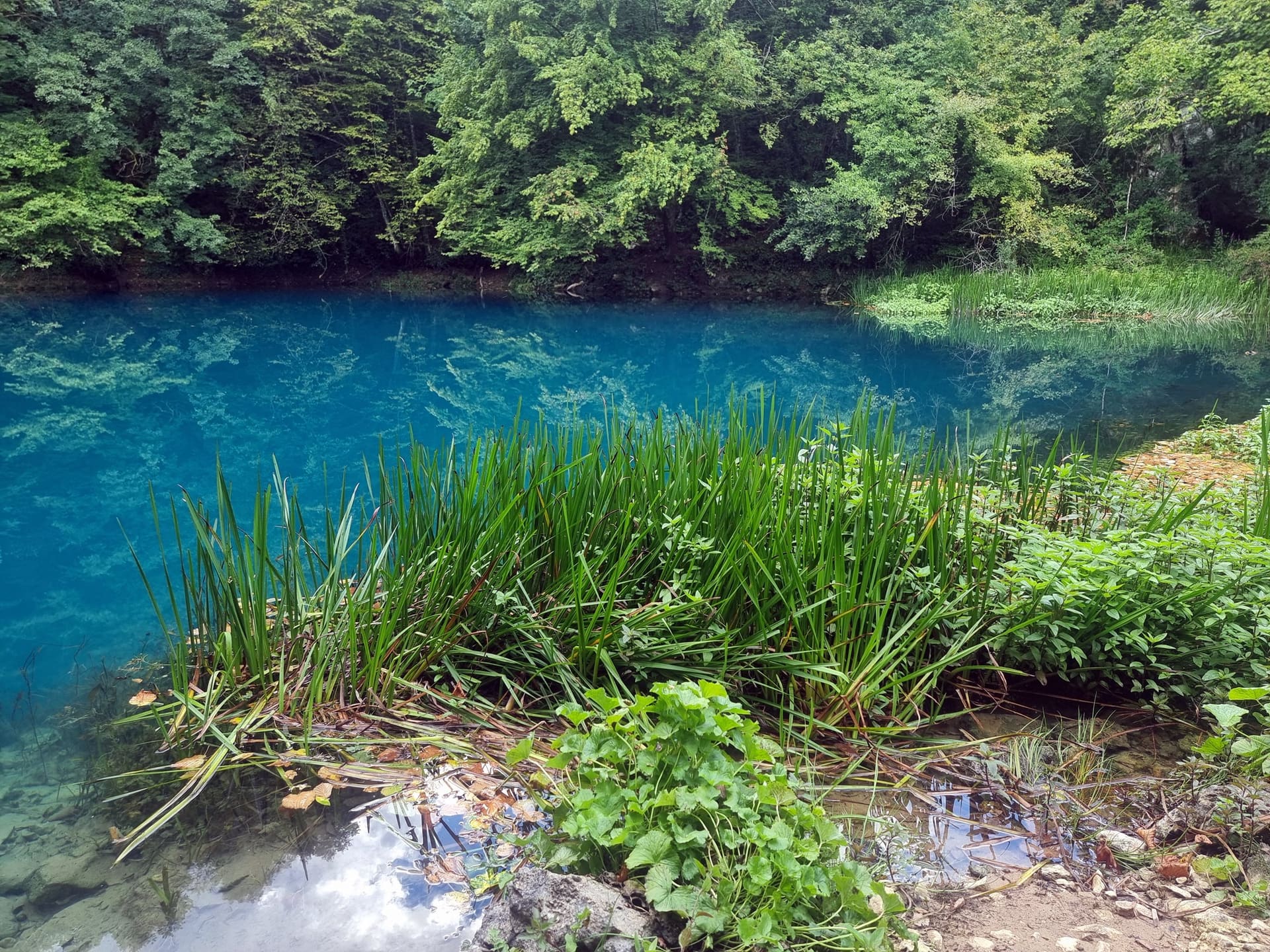 Izvor Slunjčice — šetnja uzvodno do izvora — 3