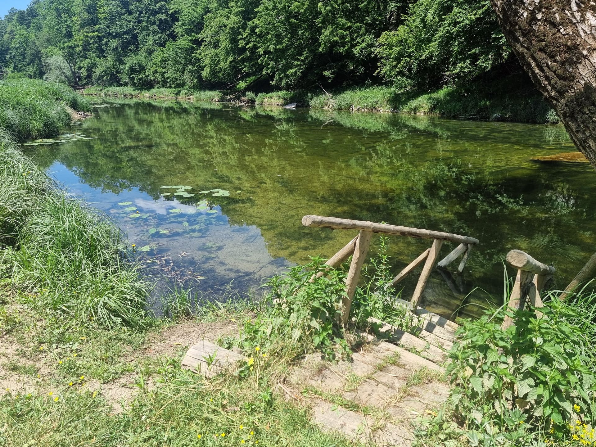 Oltar — jutarnje sunce i najbolji start za plivače — 1