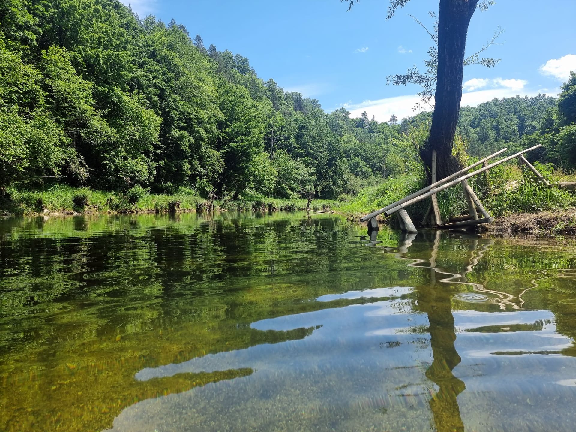 Oltar — jutarnje sunce i najbolji start za plivače — 3