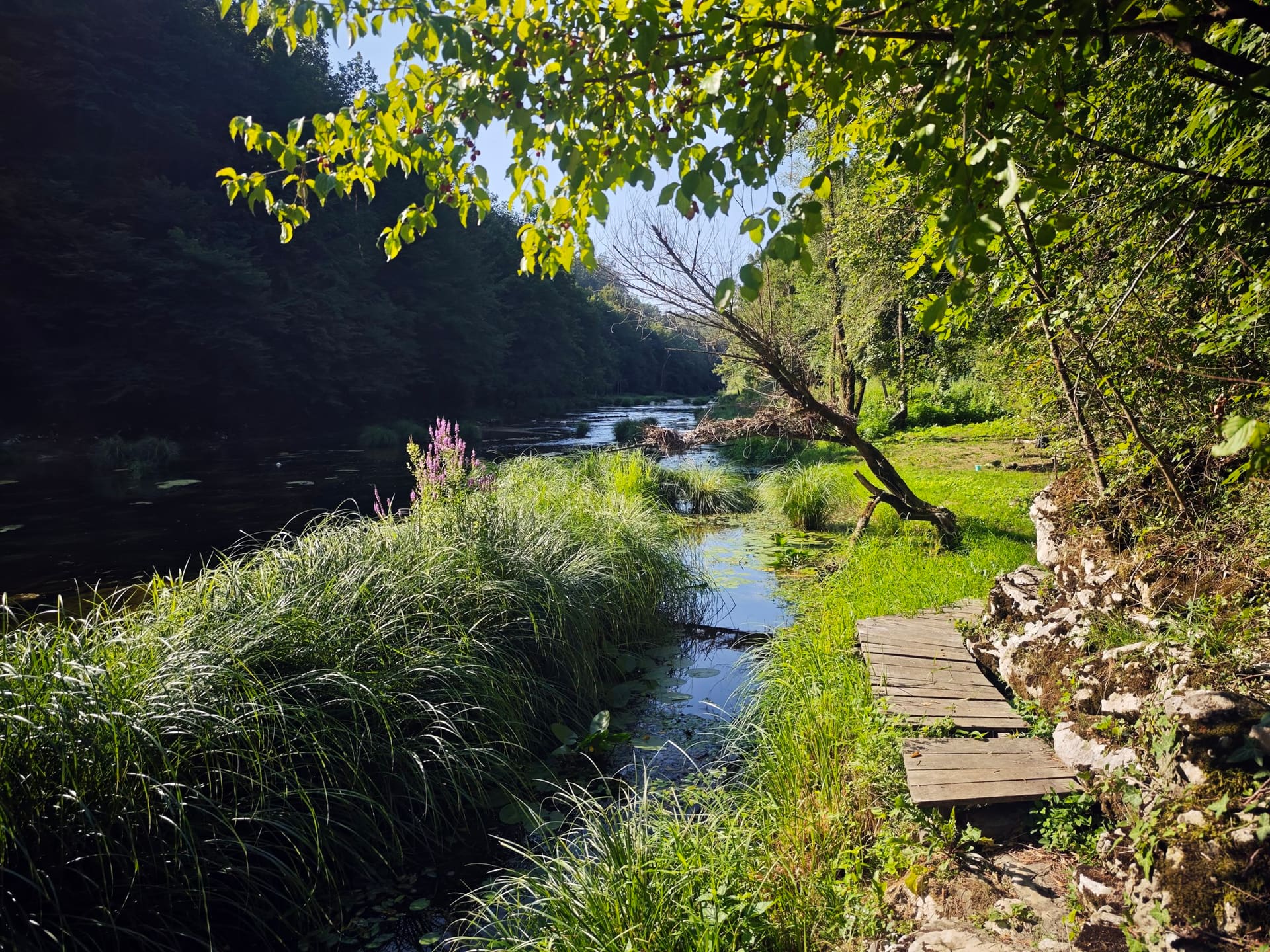 Kotlac — srce Korane sa pričom — 2