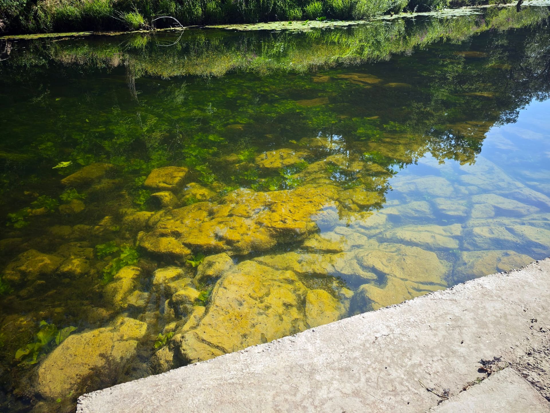 Škrila — mjesto za plutanje uz najviše zelenila na Korani — 2